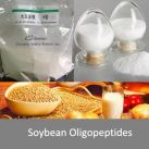 Soybean Oligopeptides