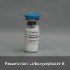 Recombinant carboxypeptidase B