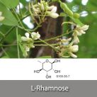 L-Rhamnose