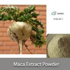Maca Extract Powder