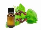 Clove leaf oil (Eugenia spp.) 
